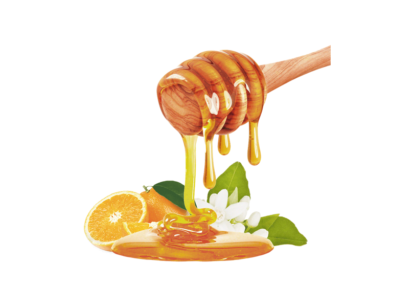 Gazdinstvo Mićunović – Nikšić